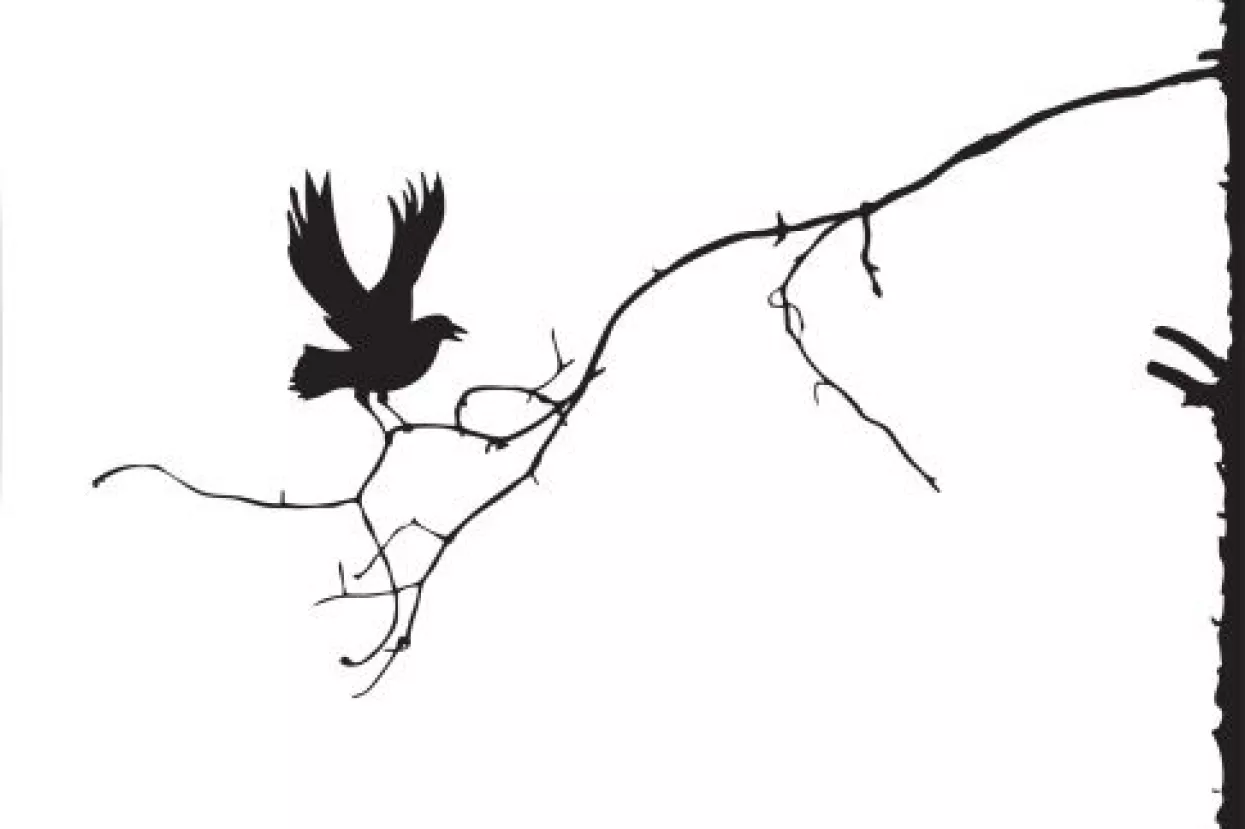 Simulacija gospodarske zbilje je gora od realnosti