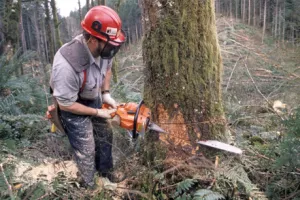 Zbog zastarjele tehnologije nije se moguće nadmetati na najzahtjevnijim svjetskim trži&scaron;tima