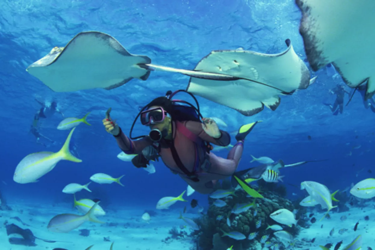 FER koordinira izradu robotskog sustava koji će nadzirati fizičko stanje ronioca