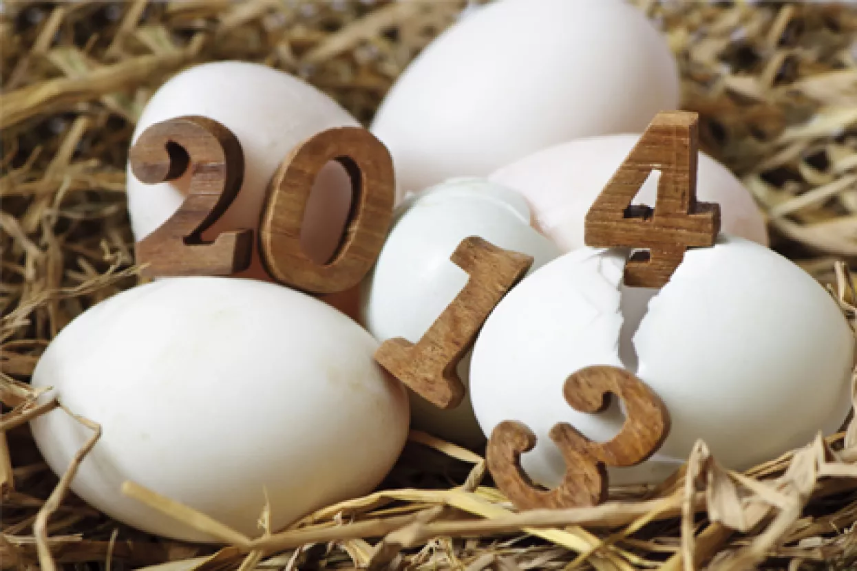 Želim nam da u 2014. glava ne služi samo za paljenje kemijske