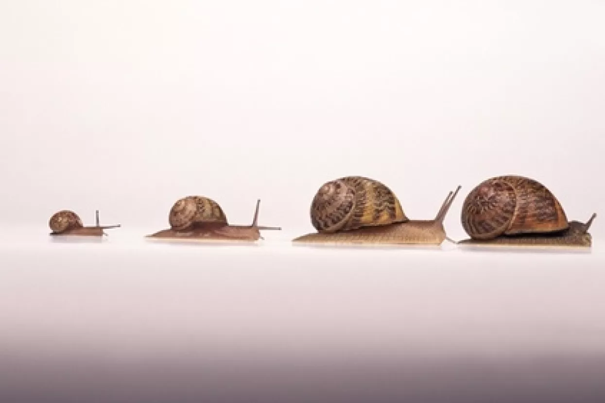 U 2014. jo&scaron; će se vi&scaron;e produbiti razvojni zaostatak regije