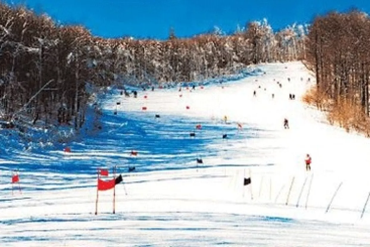 Bjelolasica ide u stečaj