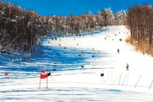 Bjelolasica ide u stečaj