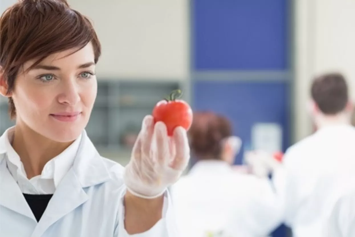 10 razloga zbog kojih proizvodnja hrane treba biti prioritet u industrijskoj strategiji