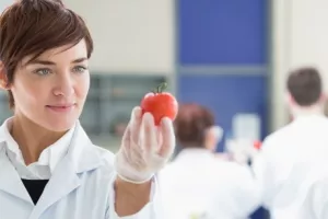 10 razloga zbog kojih proizvodnja hrane treba biti prioritet u industrijskoj strategiji