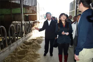 Hrvatski uzgajivači uče Japance o uzgoju krava