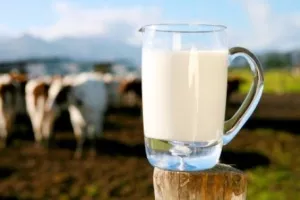 Od ulaska Hrvatske u EU uvoz gotovog mlijeka povećan za gotovo četiri puta