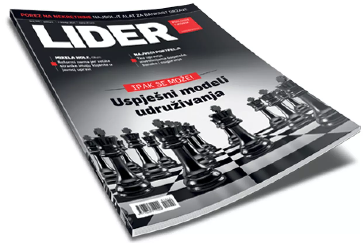 Ipak se može! - Uspješni modeli udruživanja