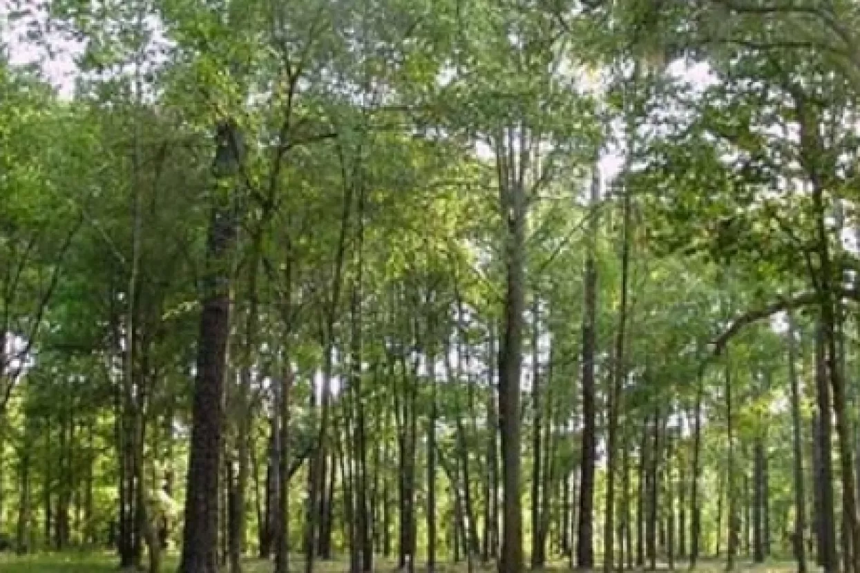 Naplata izleta u prirodu od strane Hrvatskih &scaron;uma &scaron;okirala javnost