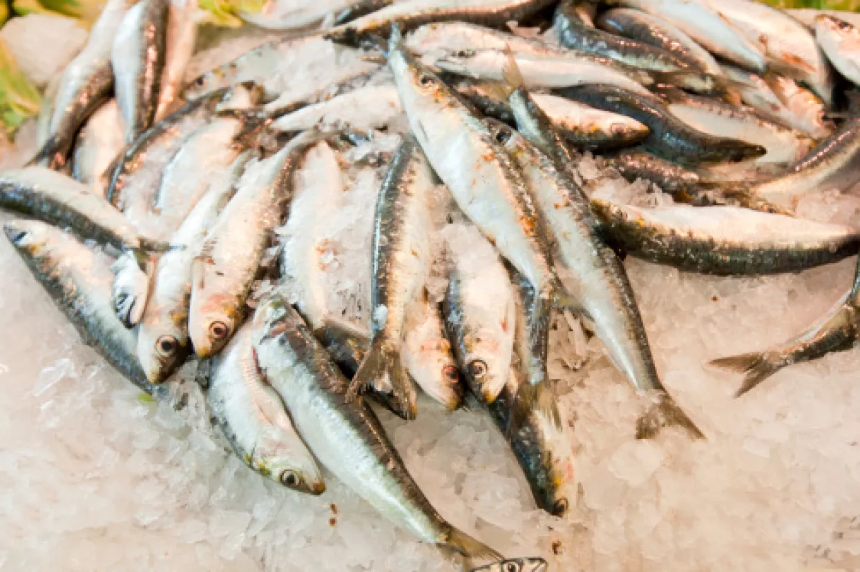 U zadarskoj Adriji privremeno obustavljena proizvodnja