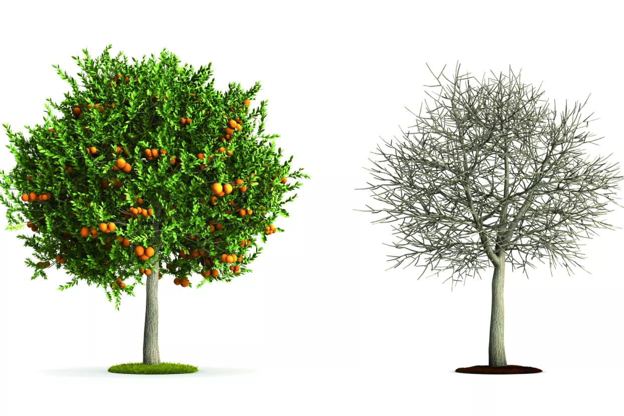 Osam ključnih promjena za budućnost Hrvatske