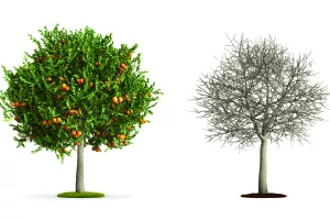 Osam ključnih promjena za budućnost Hrvatske