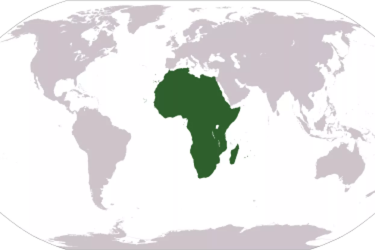 Kako su mobilni uređaji transformirali Afriku?