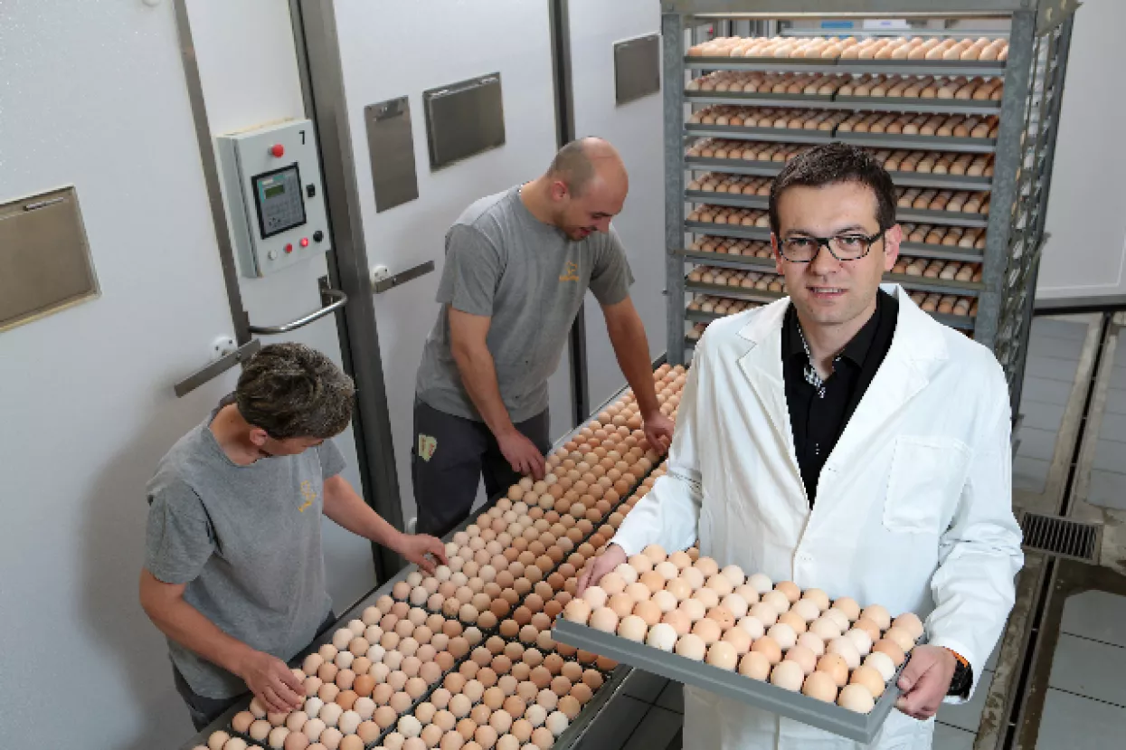 Valipile zadovoljan poništenjem odluke o zakupu Purisa tvrtki Geneza