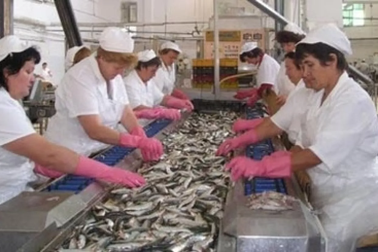 Odgođena Glavna skupština Mirne, čeka se odluka Hanfe