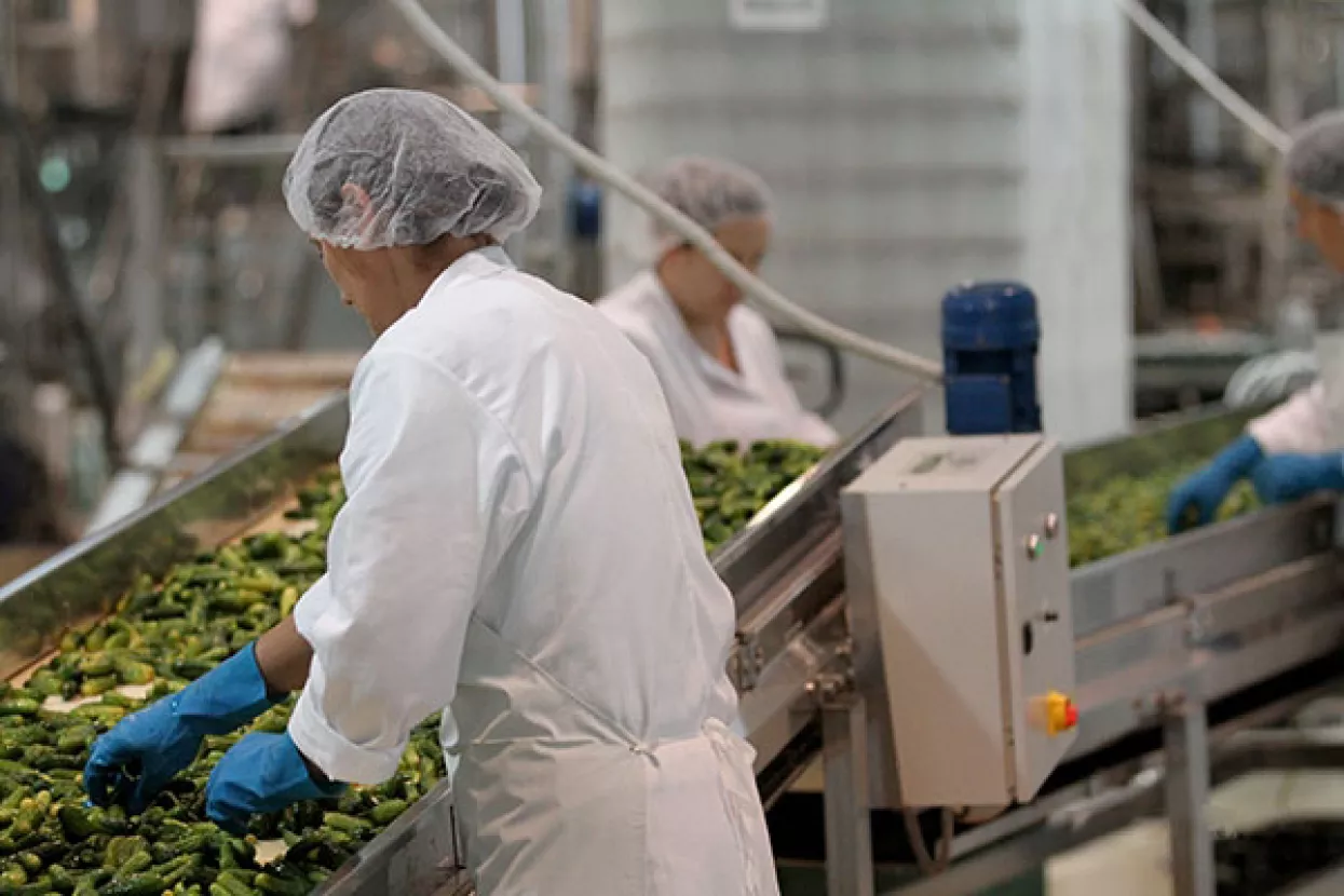 Otvoren novi proizvodni pogon AgroFructus grupe za preradu voća i povrća