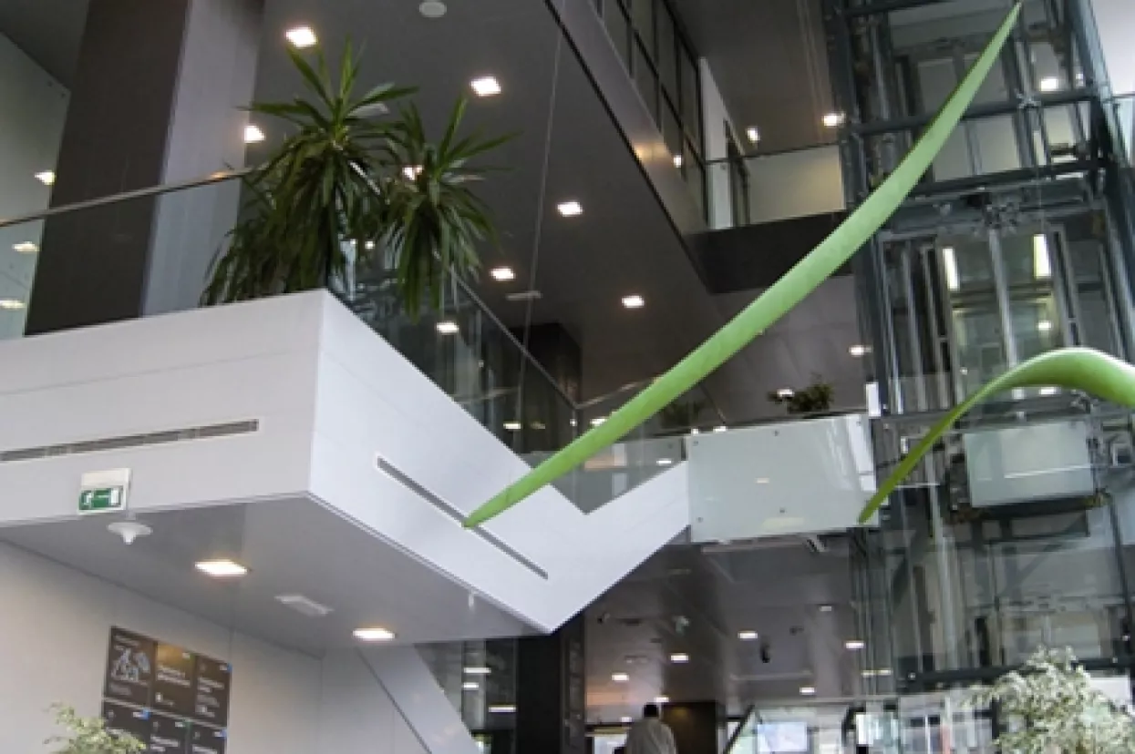 Moćna mreža Erste banke