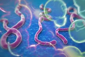 Ebola prijeti svjetskoj trgovini sirovinama