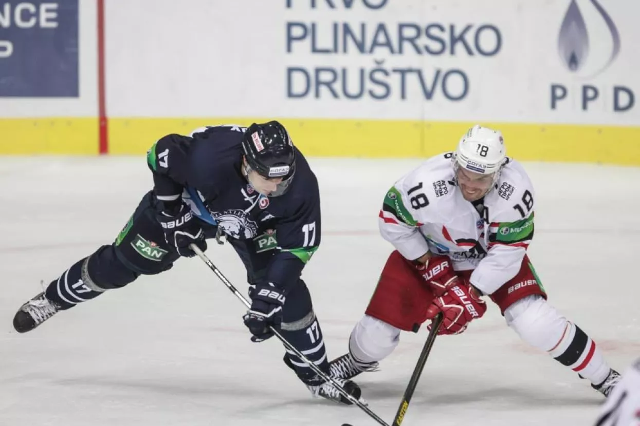 Prvo plinarsko dru&scaron;tvo i zagrebački Medvjedi u novoj humanitarnoj akciji za udrugu Vukovarski leptirići