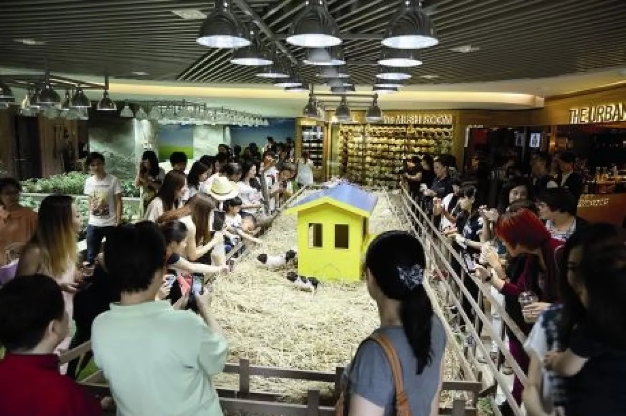 Trgovine se pretvaraju u teatar, a šoping u neobičan doživljaj