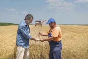 Hrvatski agri-tech startup Agrivi osvojio nagradu u Seoulu