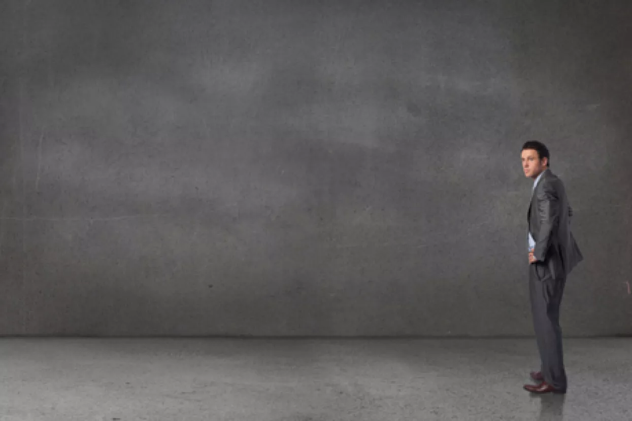 50 nijansi sive ekonomije