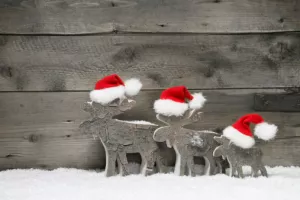 Nadate li se božićnici?