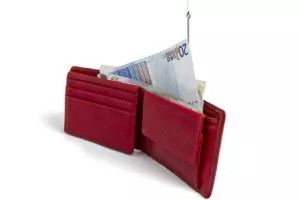 Glasujmo novčanikom - kupujmo europsko!