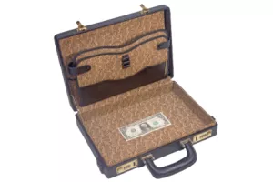 Nekad se od povratnika očekivao novac, danas je važnije znanje