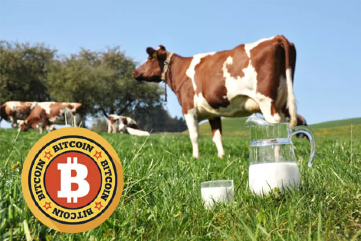 Dva Slovenca zaradu od trgovine bitcoinom investirali u krave i mlijeko