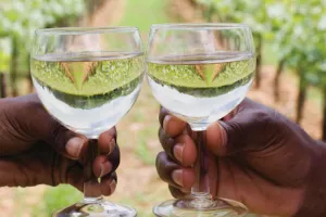 Ulagači, ne računajte na to da ćete moći kupiti zemljište!