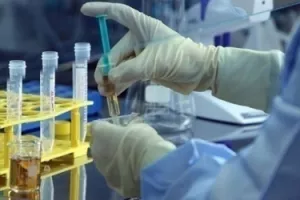 Imam viziju velike prijevare