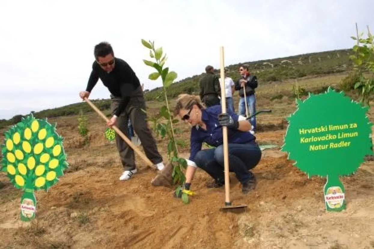 Heineken Hrvatska pokreće projekt uzgoja hrvatskog limuna