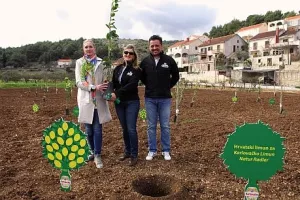 Heineken posadio limune na Braču