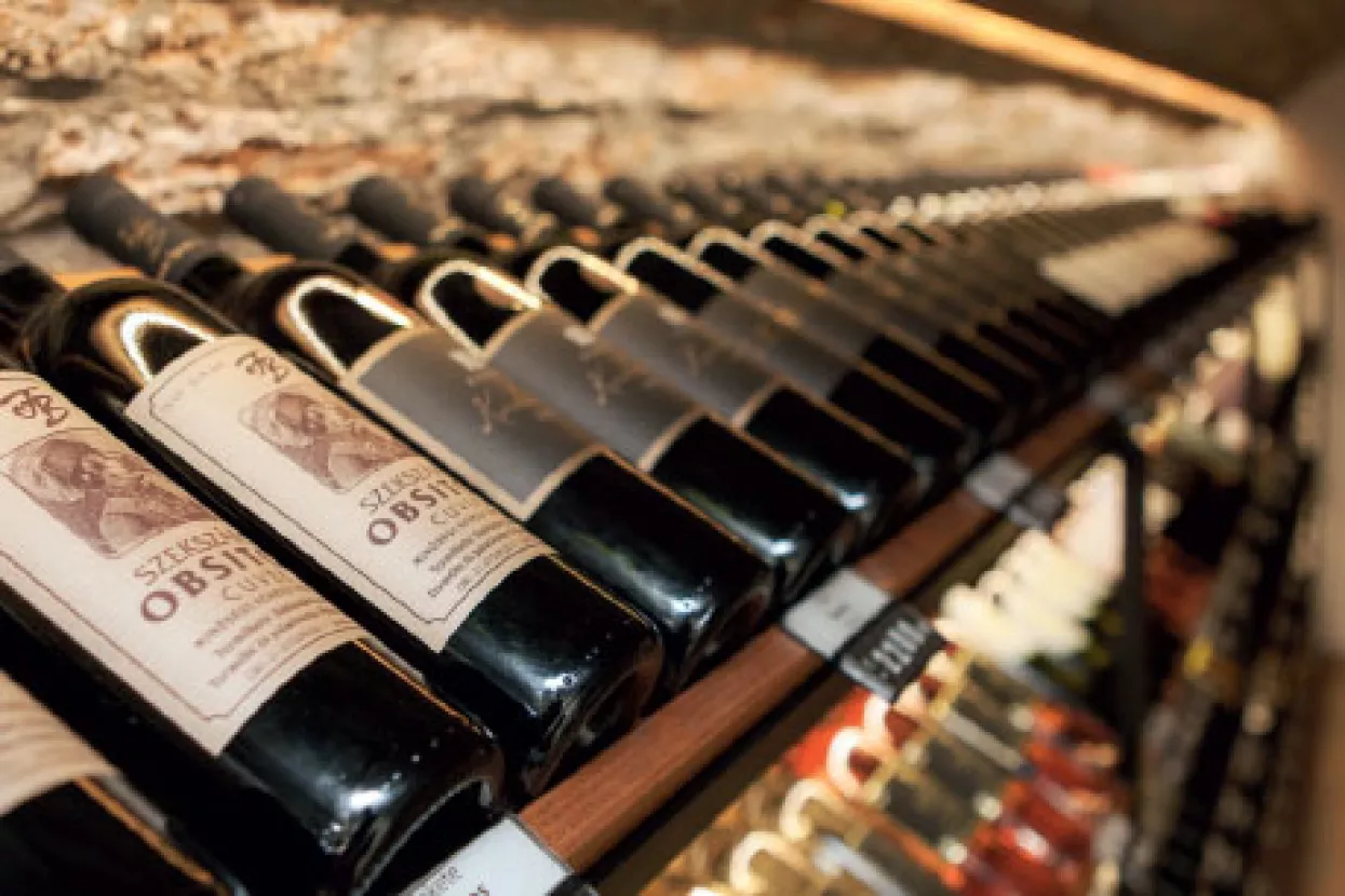 Što je u Pečuhu pio kadet Krleža