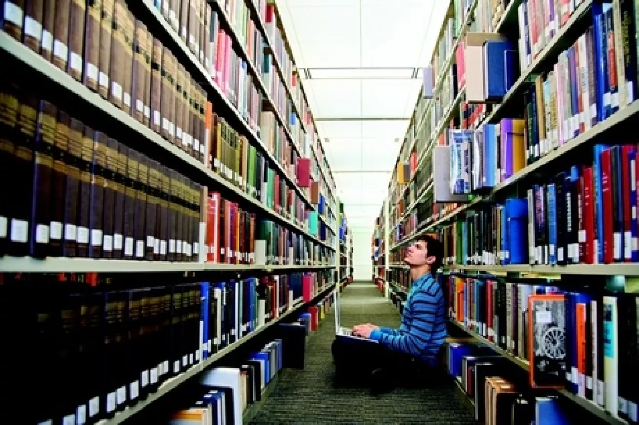 Je li prvo kokoš (obrazovanje) ili jaje (gospodarstvo)?