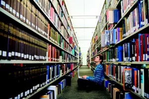 Je li prvo kokoš (obrazovanje) ili jaje (gospodarstvo)?