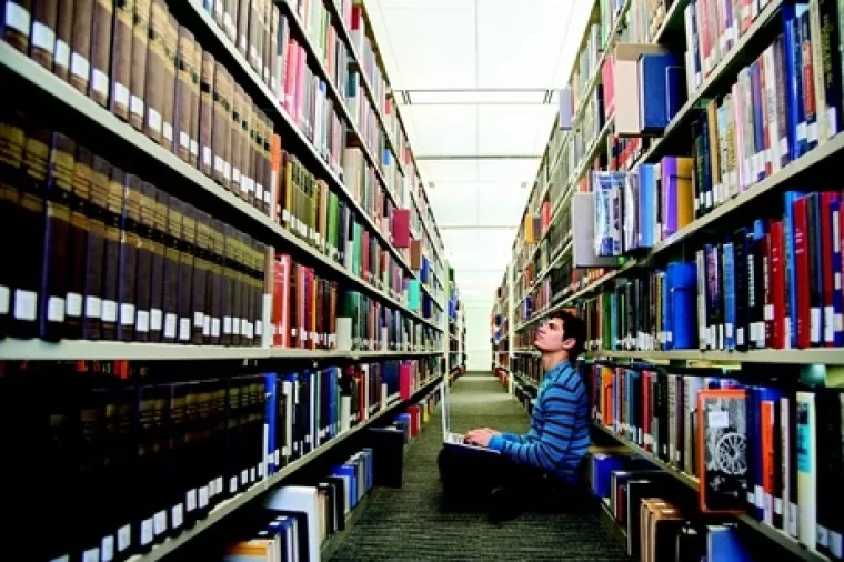 Je li prvo kokoš (obrazovanje) ili jaje (gospodarstvo)?