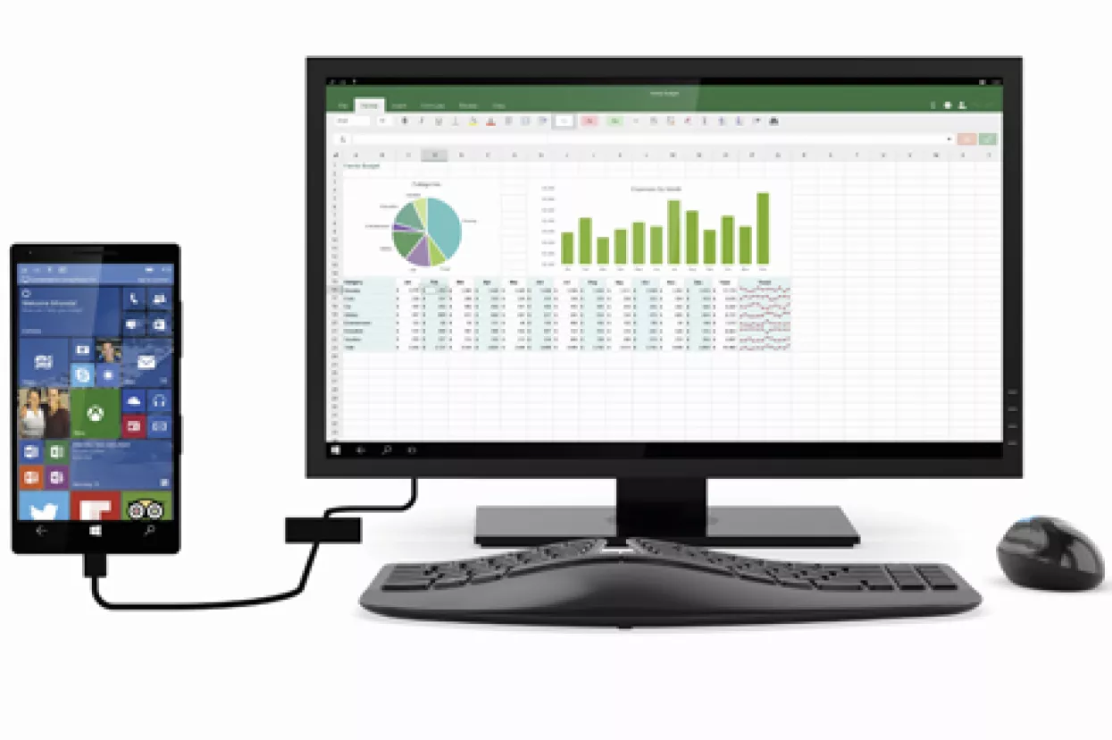 Jedni Windowsi da vladaju svima