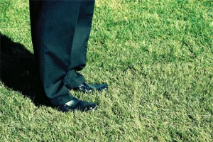 Zakonodavac propustio propisati oslobođenje od poreznih davanja