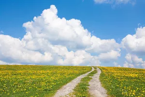 Nova tehnološka rješenja za jednostavno i učinkovito upravljanje