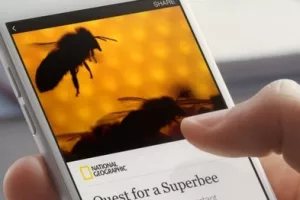 Sve što trebate znati o instant člancima na  Facebooku