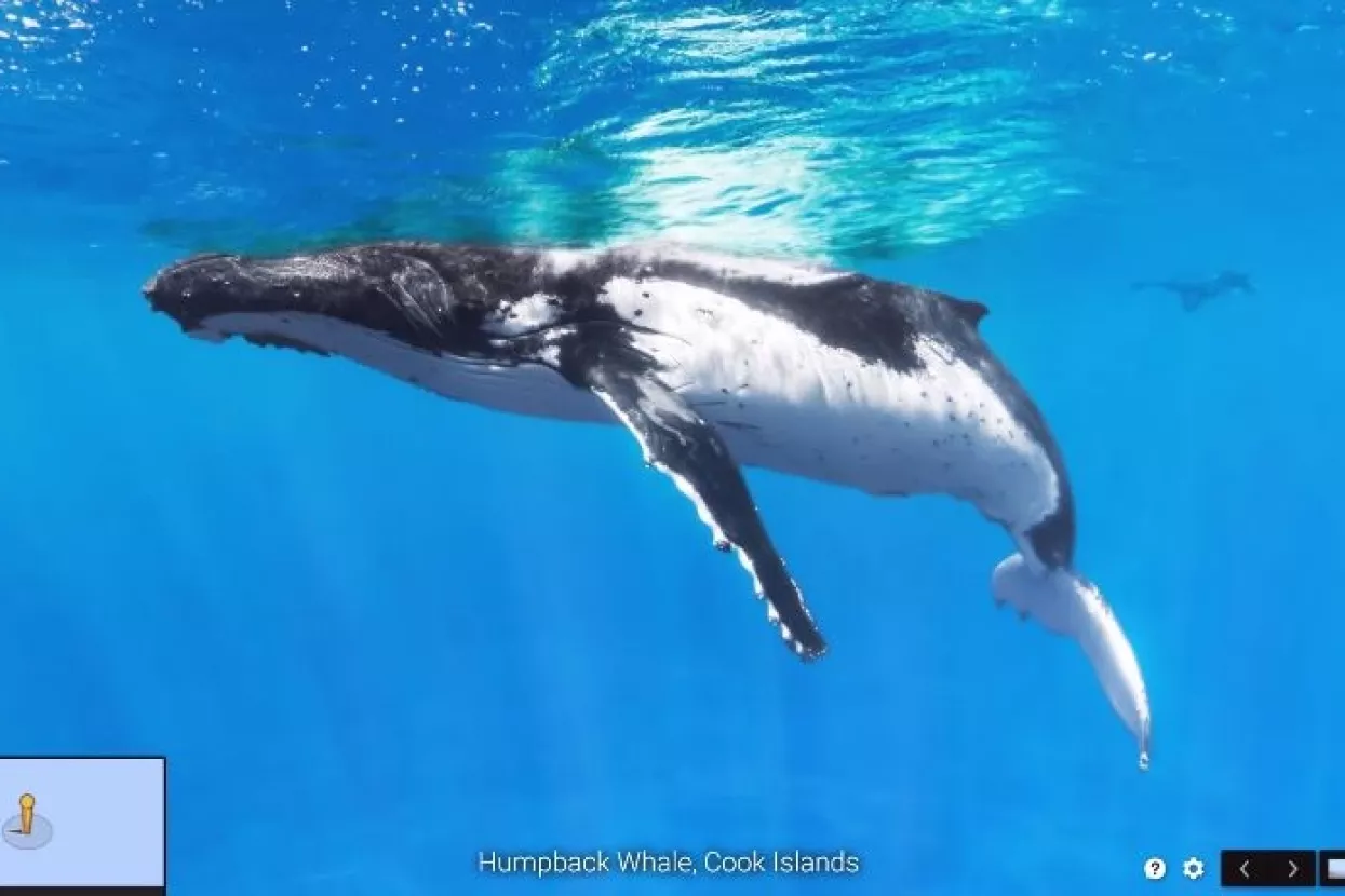 Google Street View vas vodi u podmorje