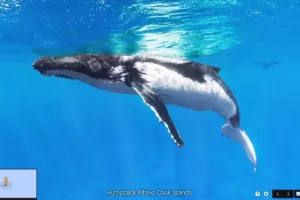 Google Street View vas vodi u podmorje