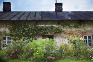 Kako smo ja i Talijan bacili 300 eura na Jadranu