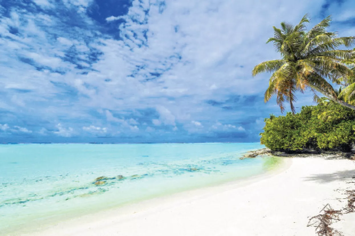 Ljetni Lider trend 10 čitatelja daruje kupkom s limunom i limunskom travom dr. Hauschka!