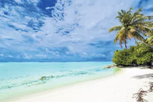 Ljetni Lider trend 10 čitatelja daruje kupkom s limunom i limunskom travom dr. Hauschka!