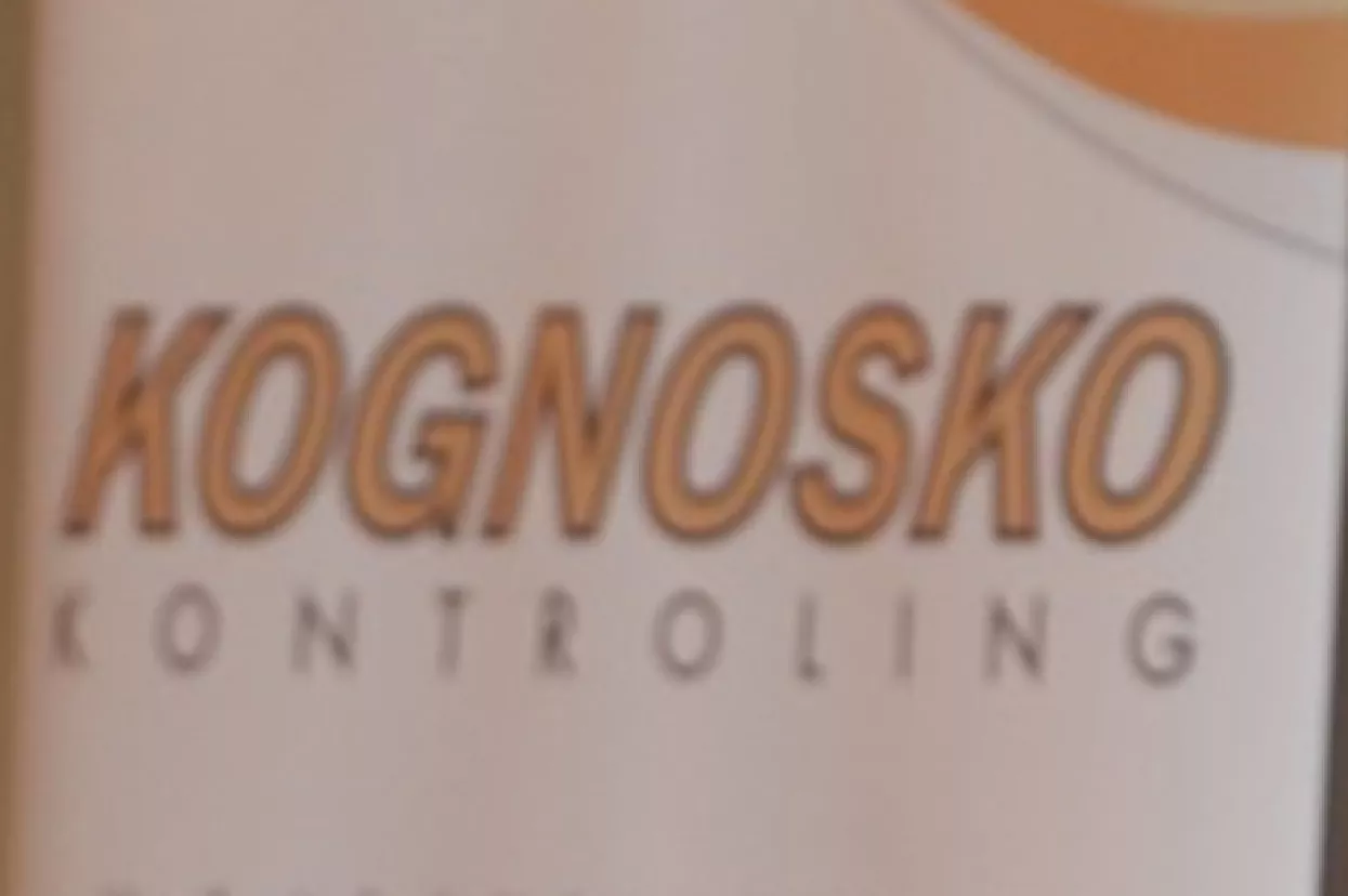 Kontroling u javnom sektoru