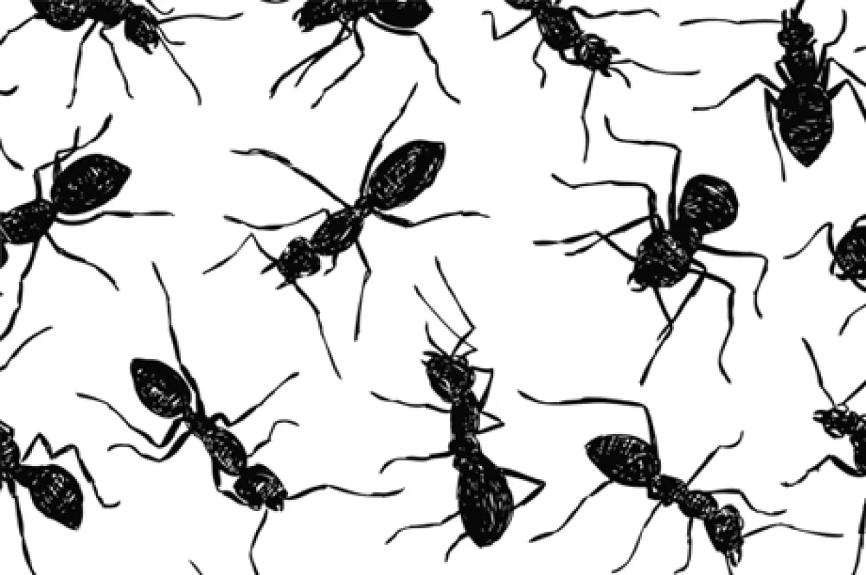 Mikrotvrtke - Država ih priznala,  ali ne daje im  nikakve pogodnosti