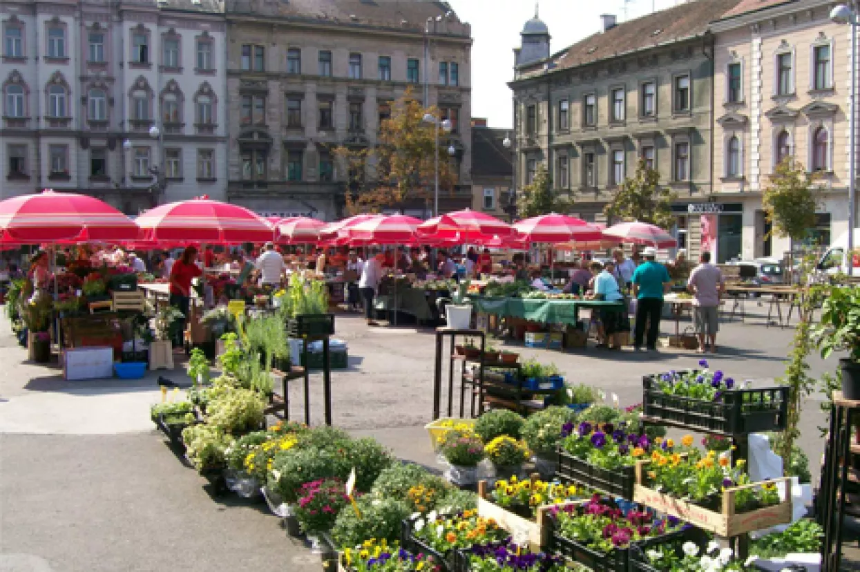 Otvara se specijalizirana trgovina za proizvode braniteljskih zadruga